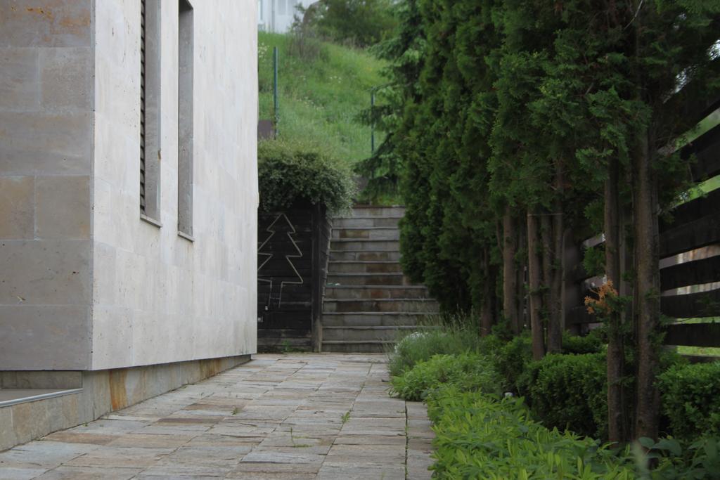 The Stone Villa Beli Iskar Exterior photo